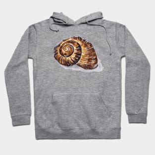 Brown Snail Shell Hoodie